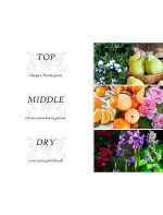 بادی میست بادی لاکچری Body Luxuries رایحه Cyaneous Dream