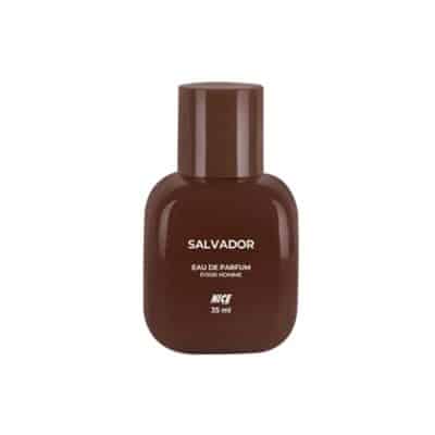 ادکلن مینیاتوری مردانه نایس NICE مدل SALVADOR